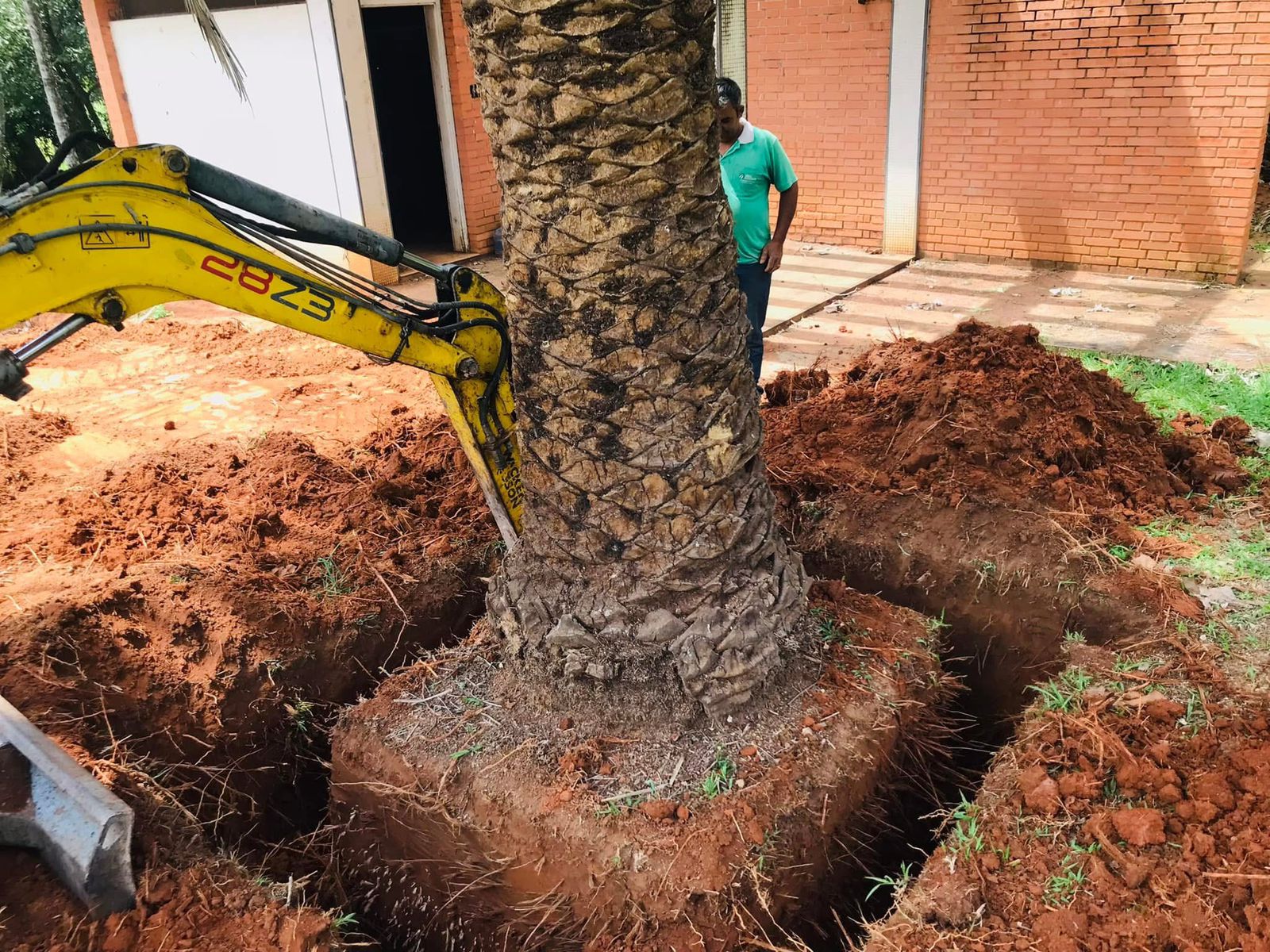 Escavação de terreno